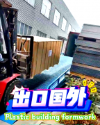 <strong>从东南亚的热带雨</strong>